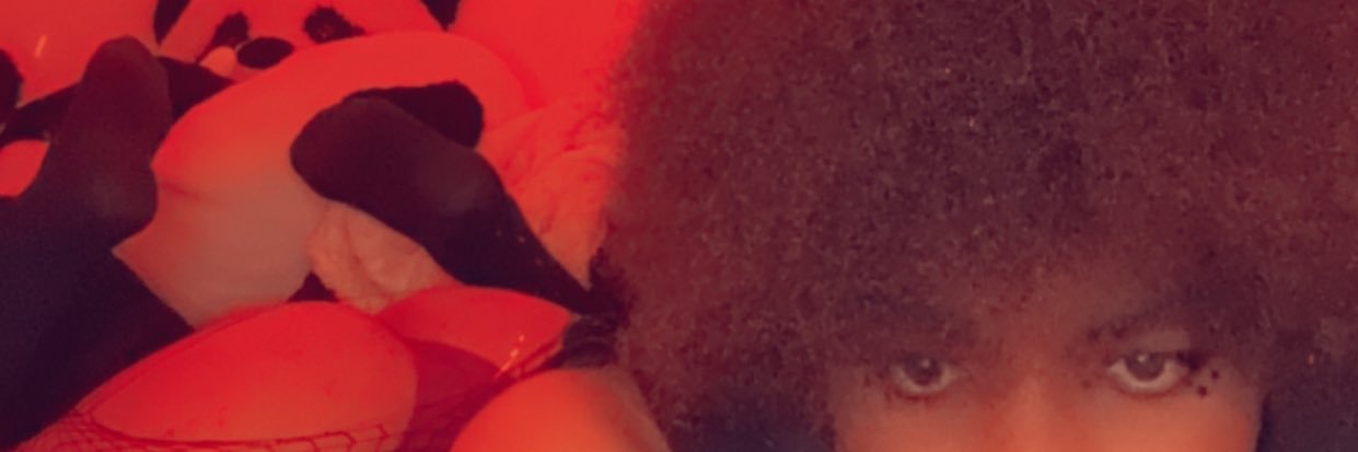 PandyX0🔞 banner