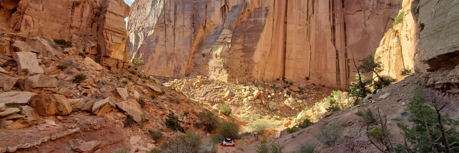 Dr. Janelle Goeke banner