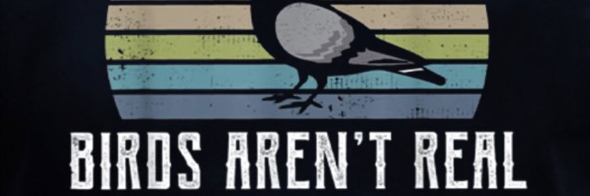 GullyBoi9 ;-;'s banner