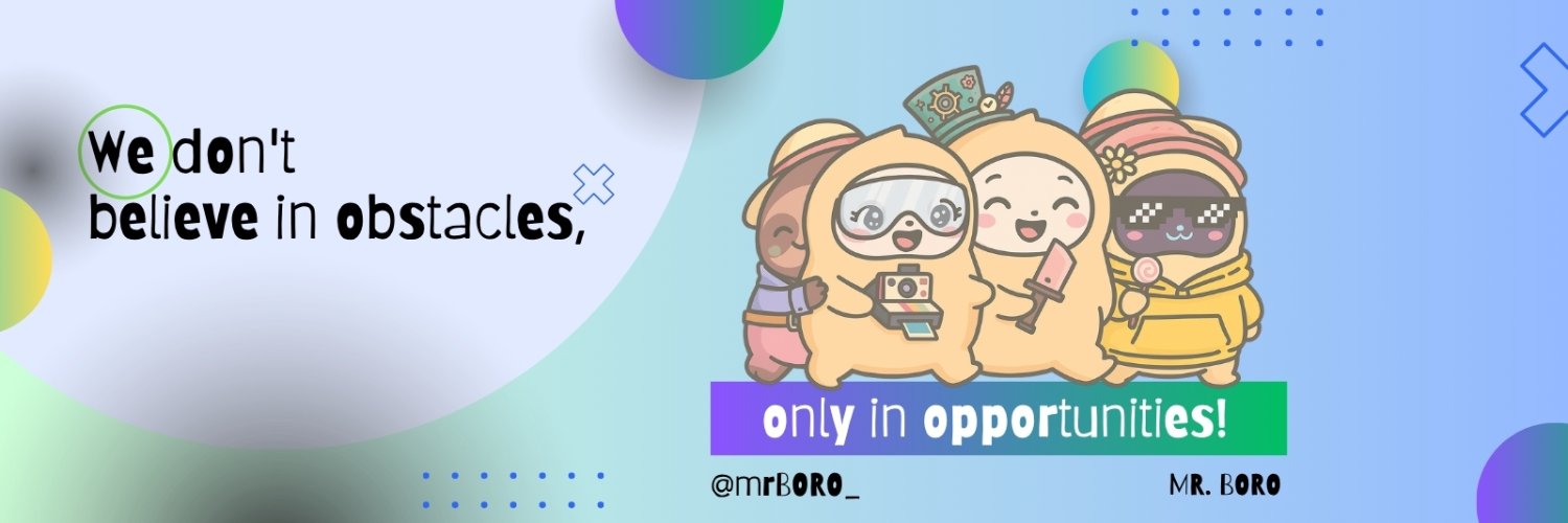 Mr. BORO's banner