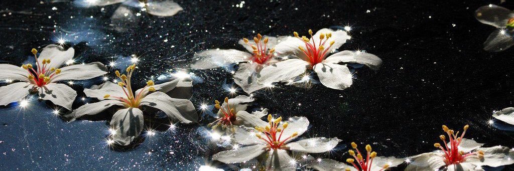 LexxieeLou's profile banner image