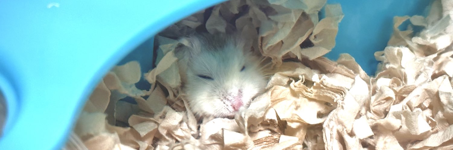 なりんぬ🐷 banner