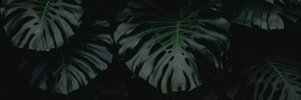 andresinkos Profile Banner