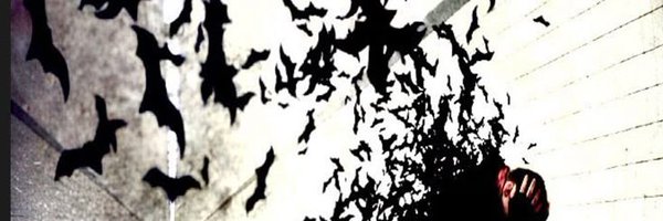 scamp Profile Banner