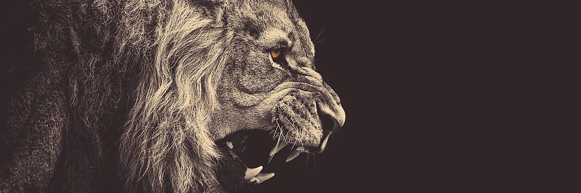 NickrBernal's profile banner image