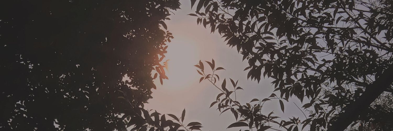 Ameng banner