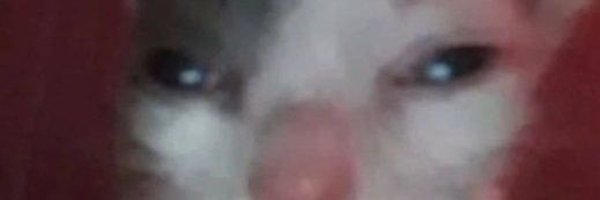tobby_61 Profile Banner