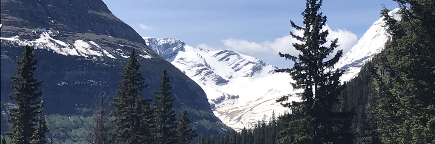 LTbobcat's profile banner image