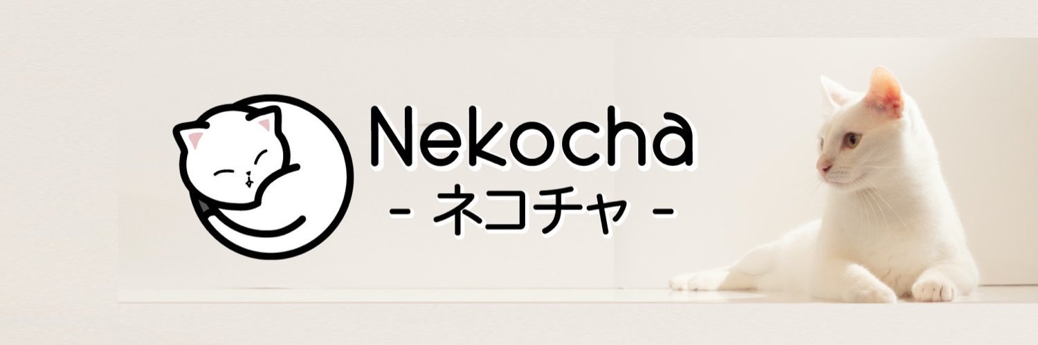 NekochaCat's profile banner image
