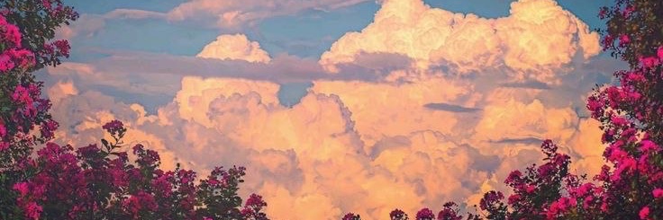 bellanova808's profile banner image