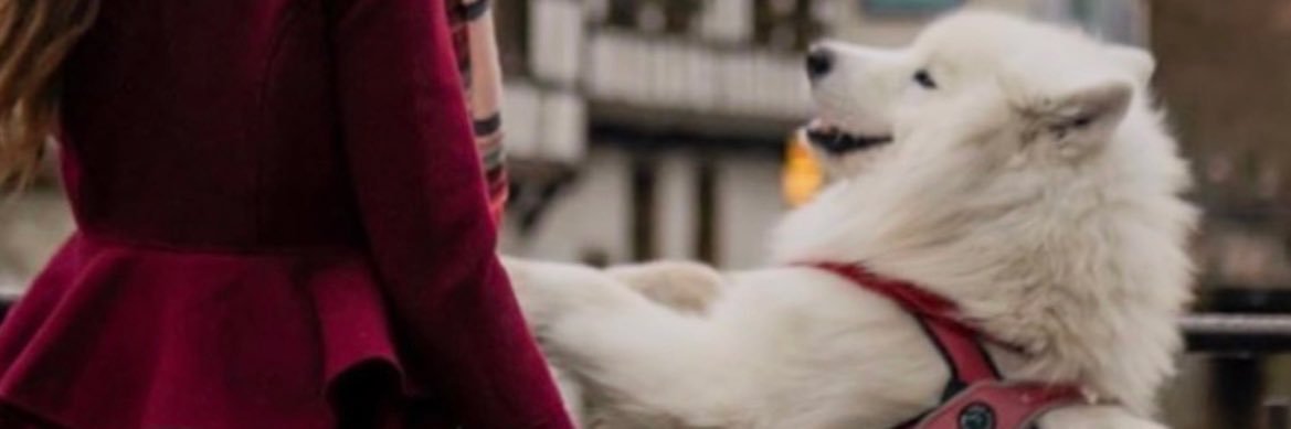 nounMFA's profile banner image