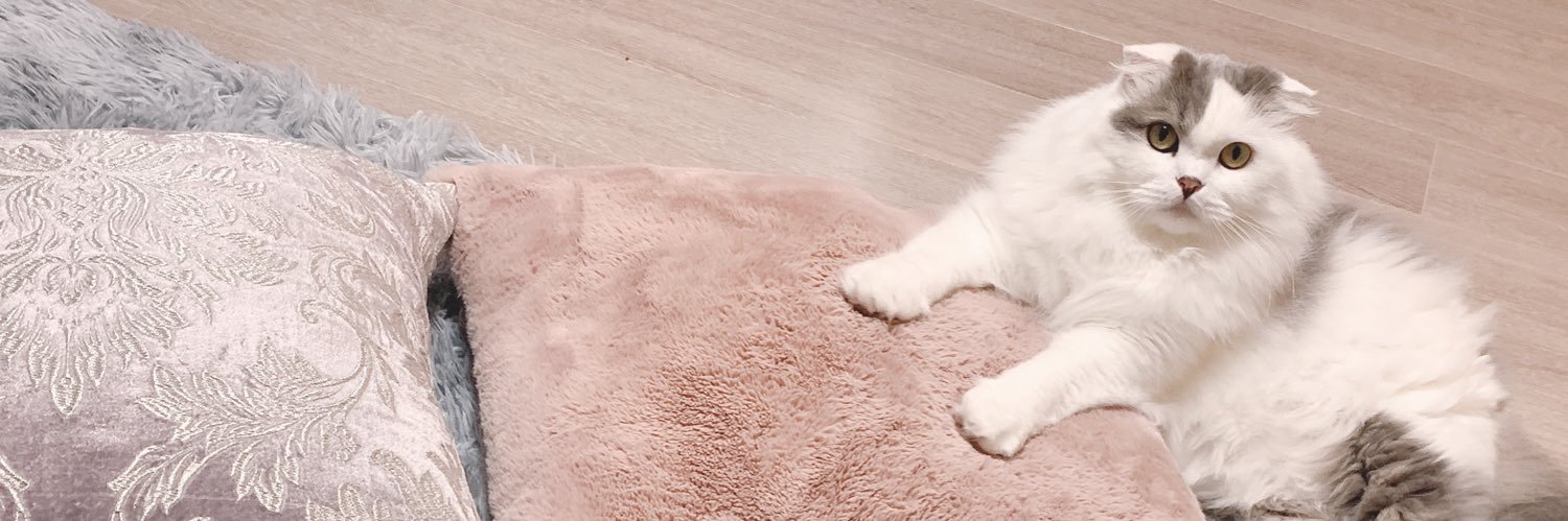 1005bivis's profile banner image