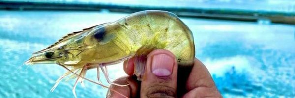 anujposeidon Profile Banner