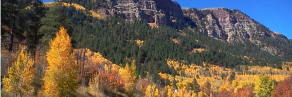 CassandraPeca Profile Banner