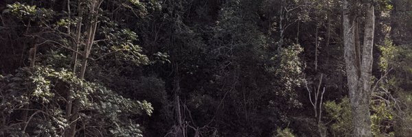 RahniaCollins Profile Banner