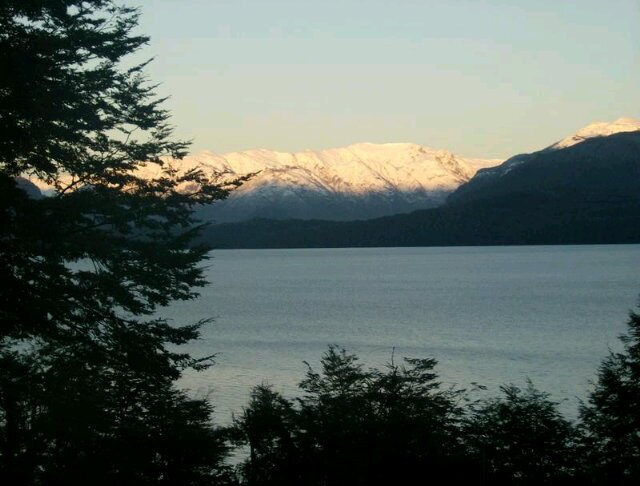 Sergio Bermudez banner