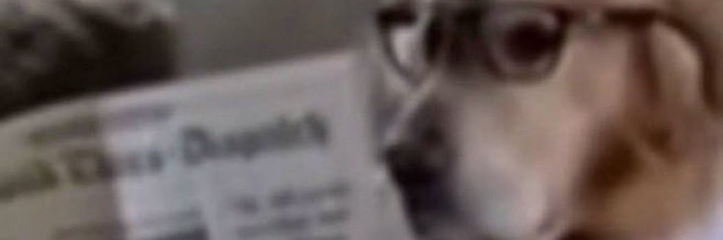 tehehugotehe's profile banner image