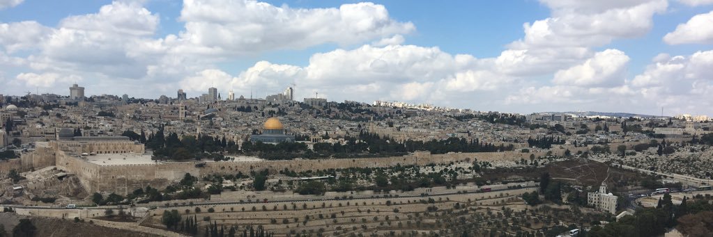 Dr.Daniel Rozen banner