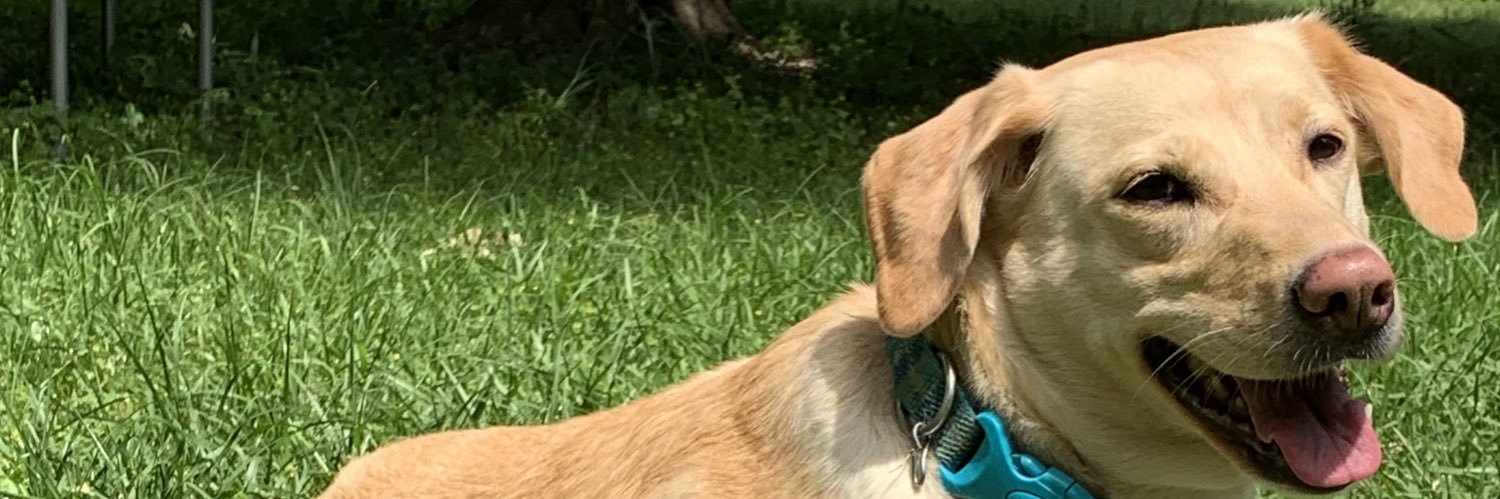 Tbobbs's profile banner image