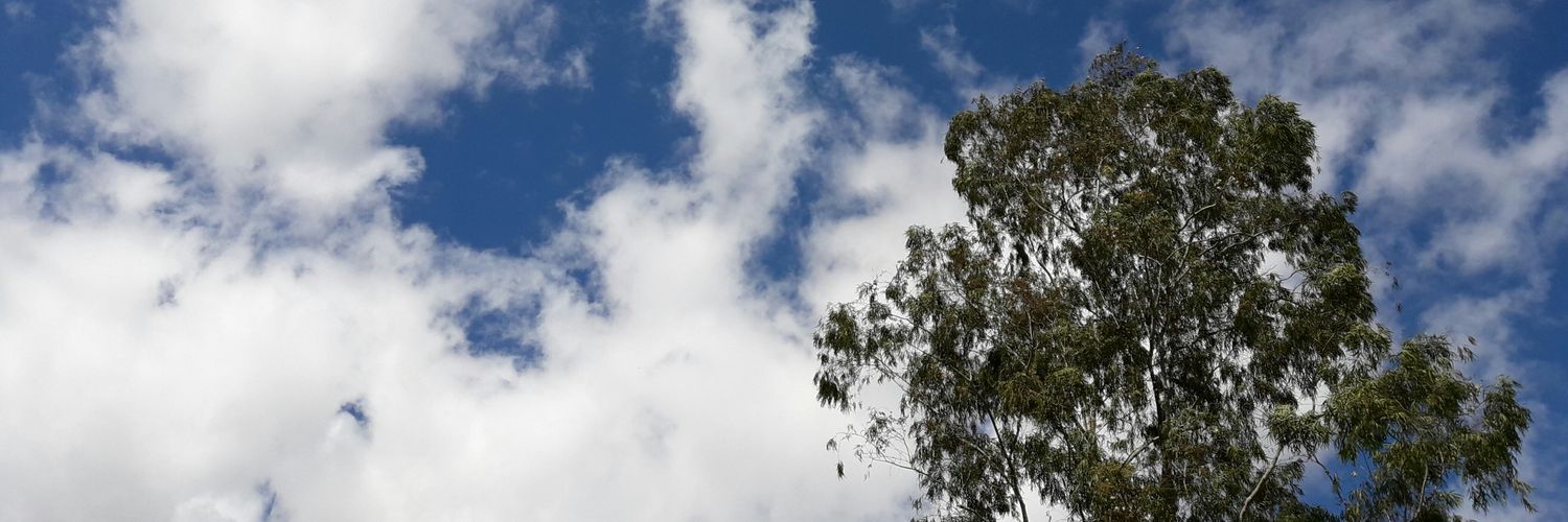 uma novela de licia manzo banner