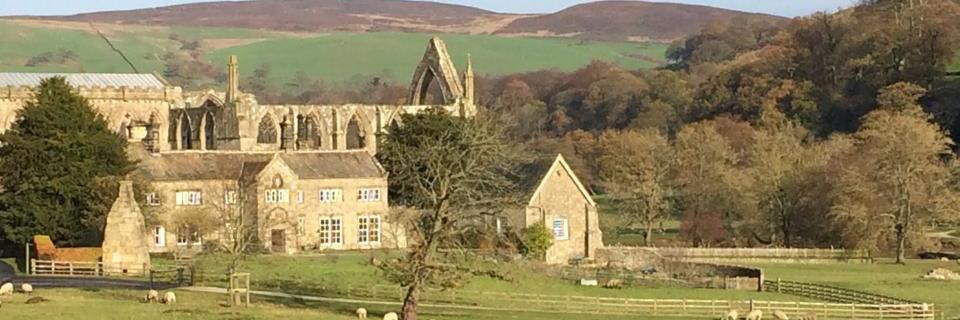 Sarah Williamson banner