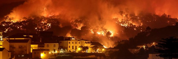 incendisforest Profile Banner