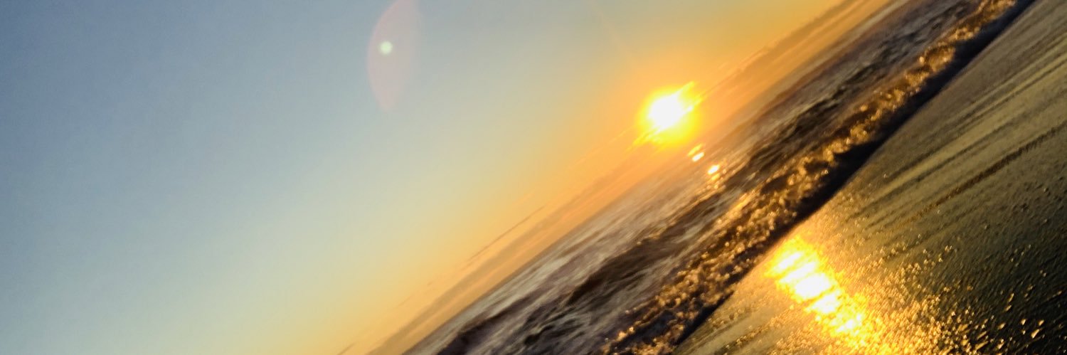 nessa_angler's profile banner image