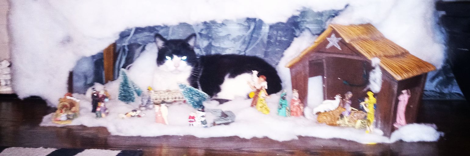 chivy🇨🇦 banner