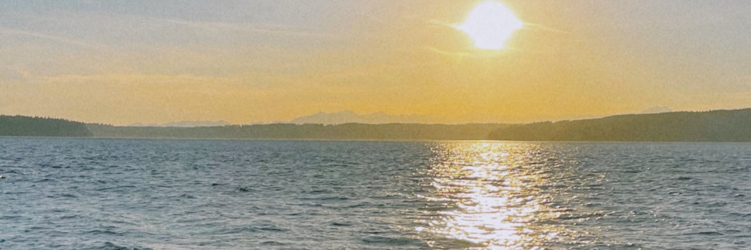 maryamr009's profile banner image