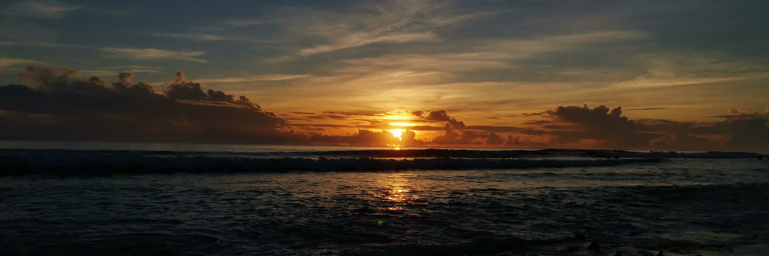 altsbyrs's profile banner image