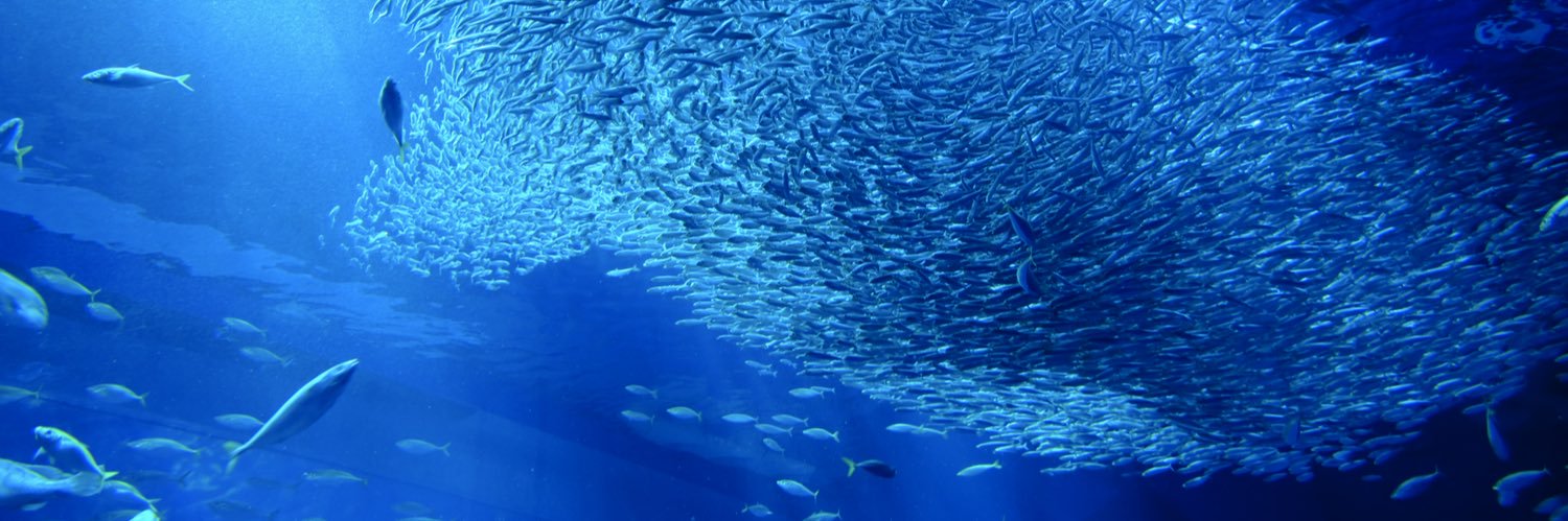 桜@ポンコツ看護師 banner