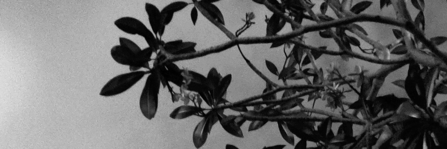 lostobscurely's profile banner image