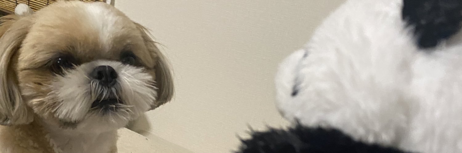 nanacoconuts's profile banner image