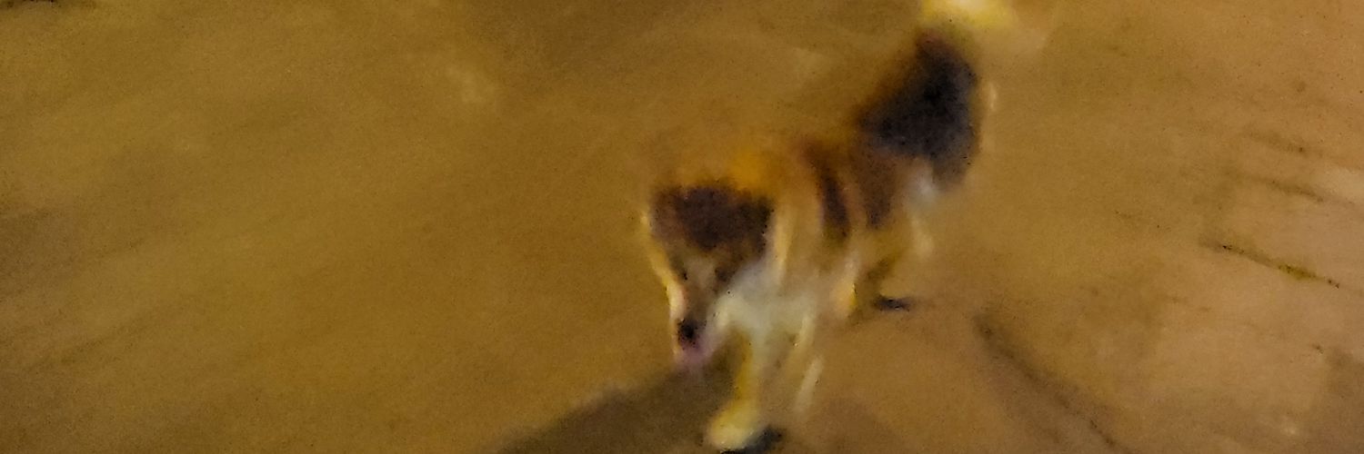 outsiderdogue's profile banner image