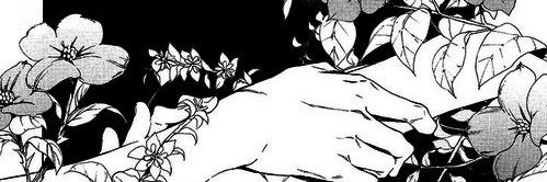 🌿 друи́дочка banner