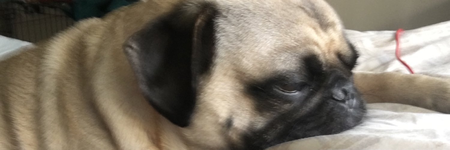 CalvinIsKing's profile banner image