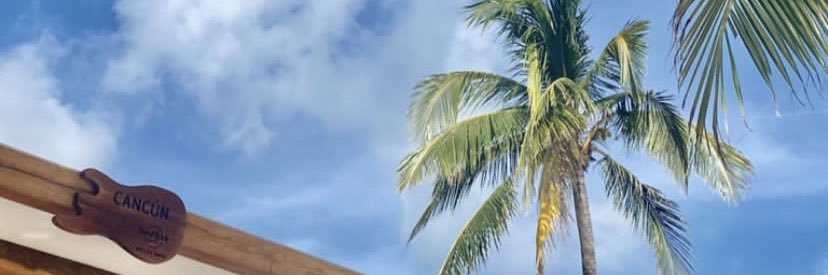 lalacape's profile banner image