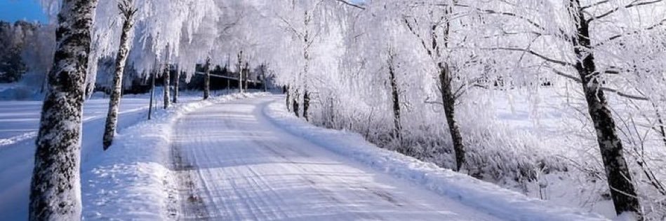 🇫🇷BD71🌿 banner