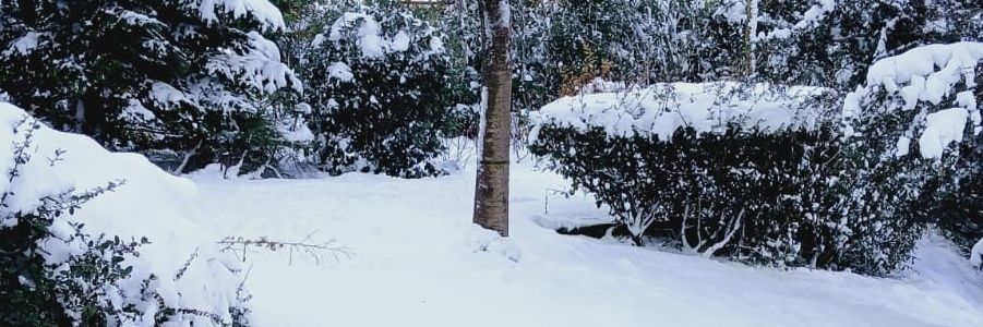 CINARMel's profile banner image