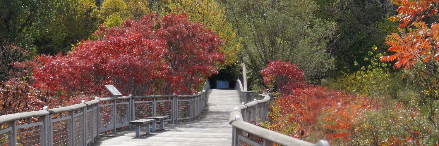 randallsisland's profile banner image