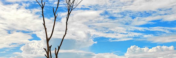 iamsayanpal2 Profile Banner