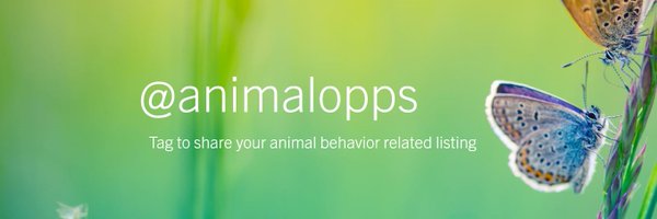 AnimalOpps Profile Banner