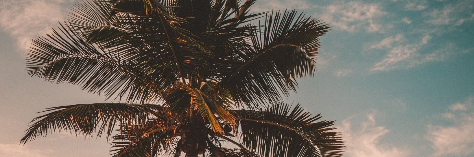 Boaz360's profile banner image
