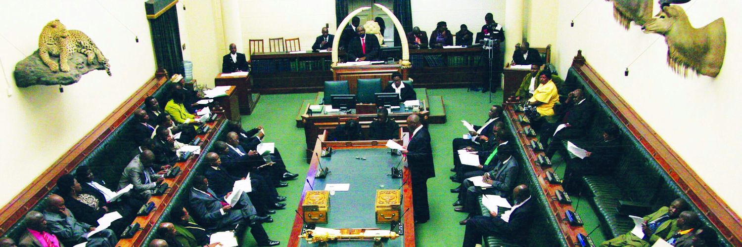 Delight Tatenda Muchazondida 🇿🇼 banner