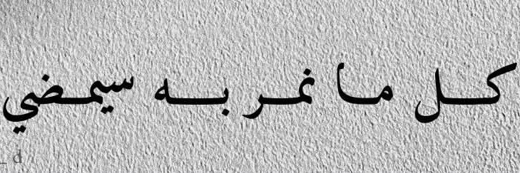 Aya Alhasani banner