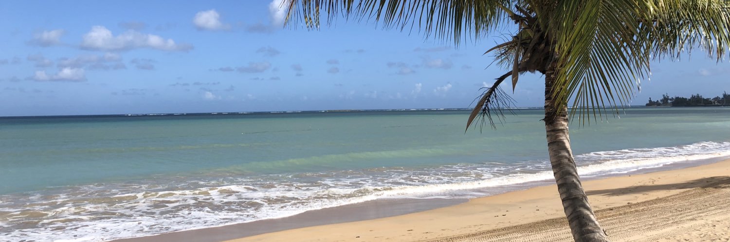 Armando Bustamante banner