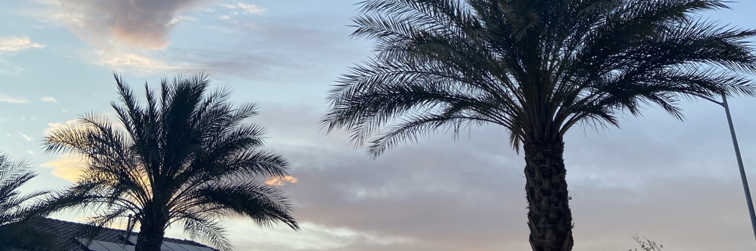 lalaaricee's profile banner image