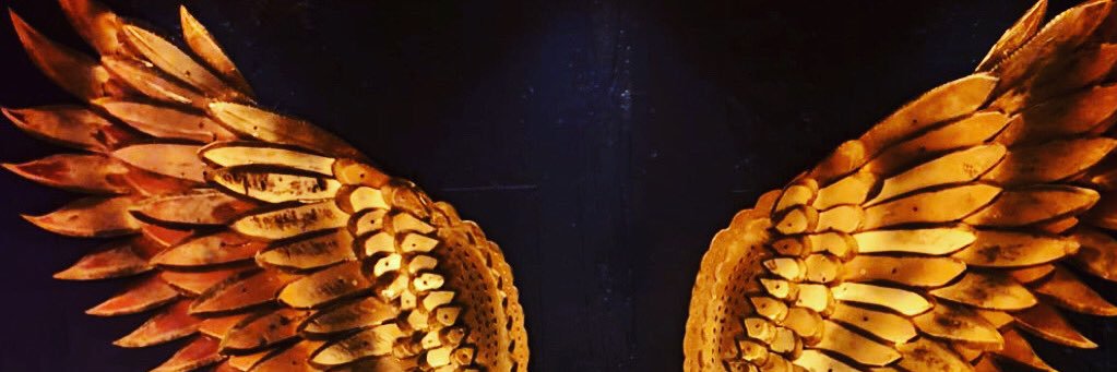 Eve (find me on 🦋) banner