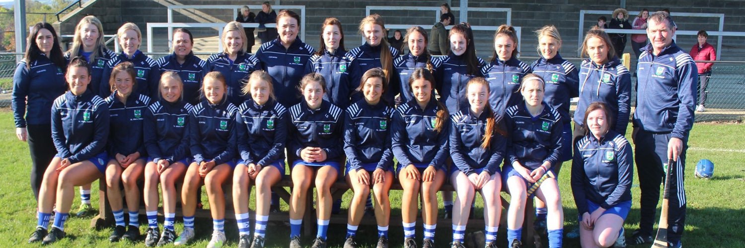 St Rita’s Camogie Club Fethard banner