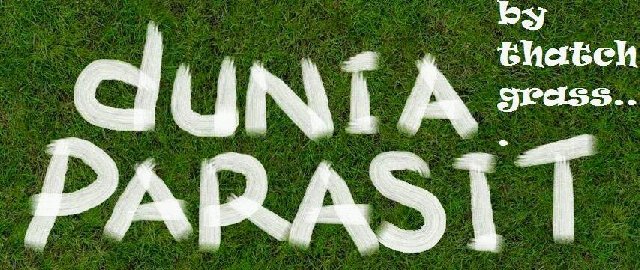 ThatchGrassBand banner